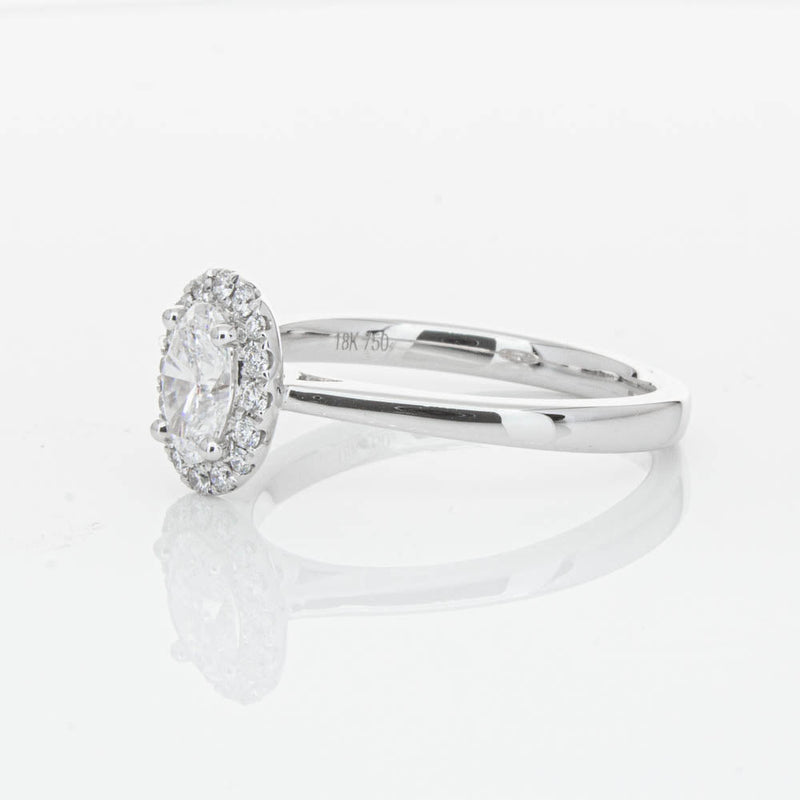 18ct White Gold .50ct Oval Cut Diamond Nina Ring-Ring-Walker & Hall