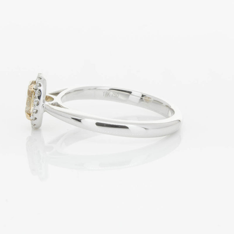 18ct White Gold .51ct Mocha Diamond Nina Ring-Ring-Walker & Hall