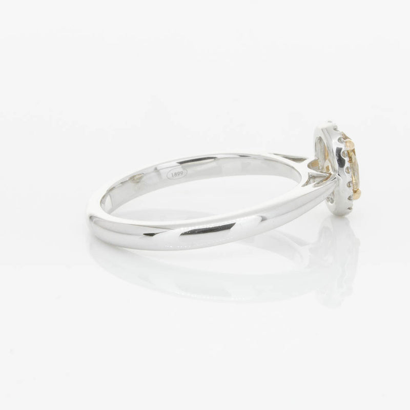 18ct White Gold .51ct Mocha Diamond Nina Ring-Ring-Walker & Hall