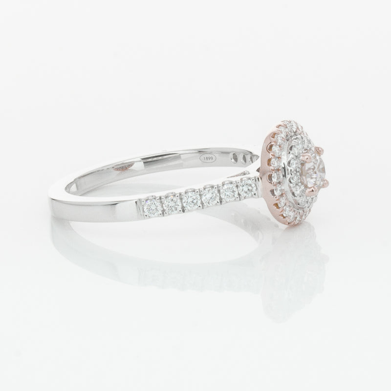 18ct White & Rose Gold .23ct Diamond Rosa Ring-Ring-Walker & Hall