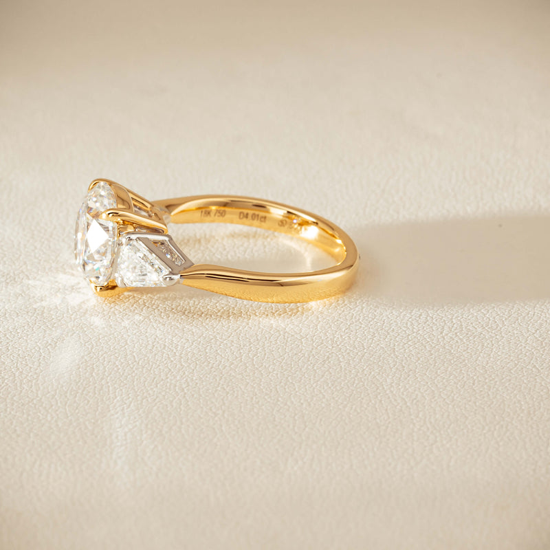 18ct Yellow & White Gold 4.01ct Diamond Odyssey Ring - Ring - Walker & Hall