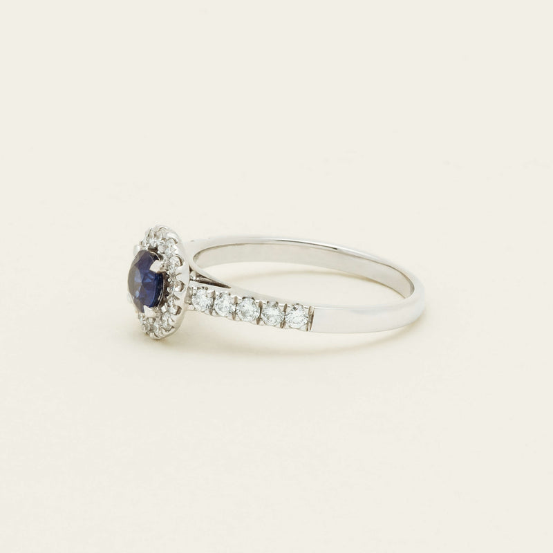 Deja Vu 18ct White Gold .62ct Sapphire & Diamond Ring - Ring - Walker & Hall