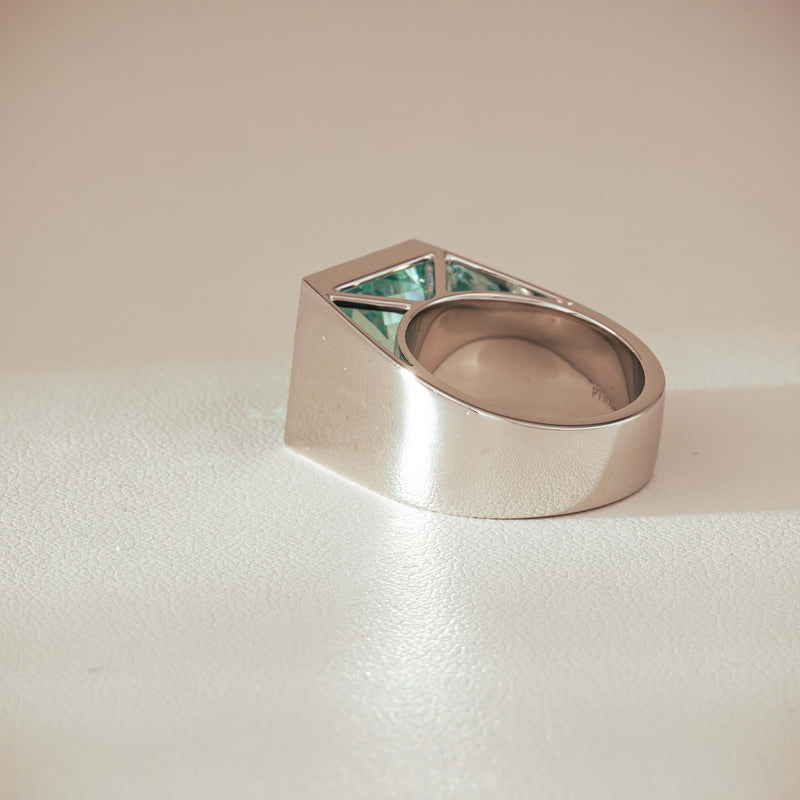Platinum 9.65ct Aquamarine Flare Ring - Ring - Walker & Hall