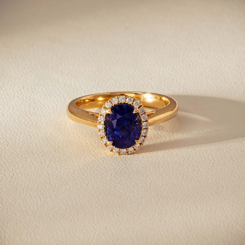 18ct Yellow Gold 2.46ct Sapphire & Diamond Nina Ring - Ring - Walker & Hall