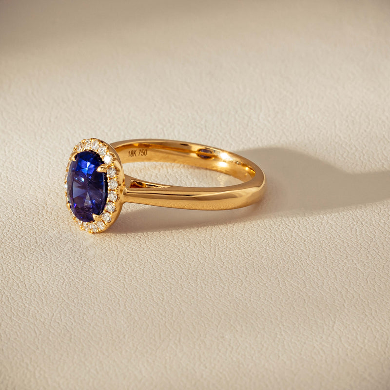 18ct Yellow Gold 2.46ct Sapphire & Diamond Nina Ring - Ring - Walker & Hall