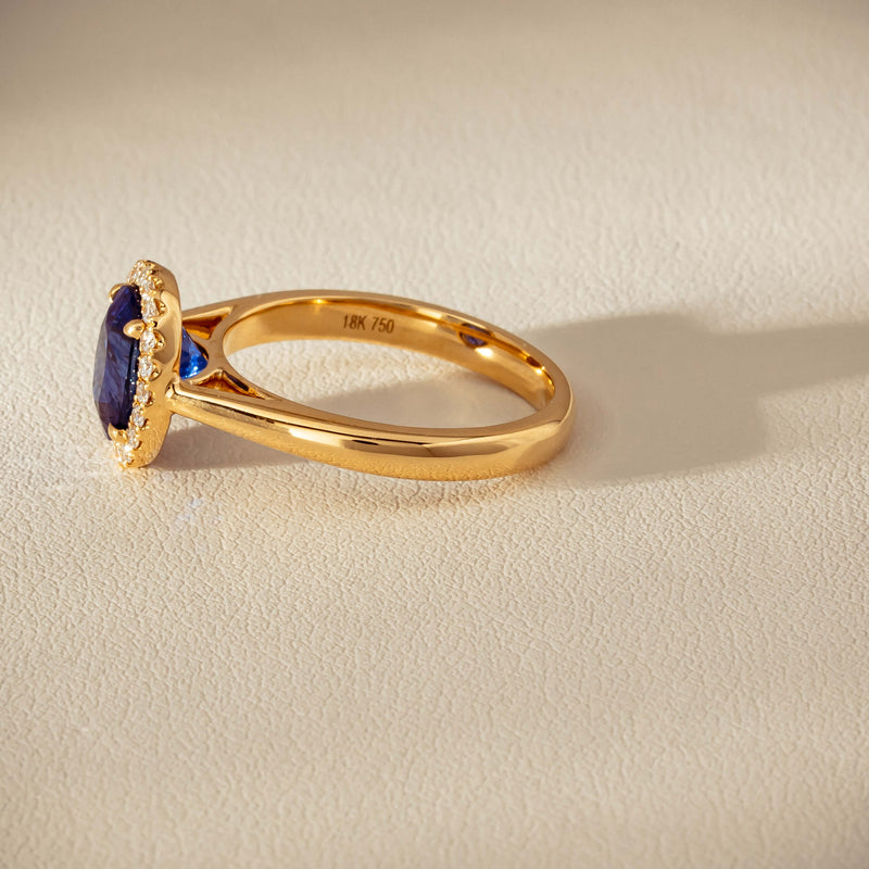 18ct Yellow Gold 2.46ct Sapphire & Diamond Nina Ring - Ring - Walker & Hall