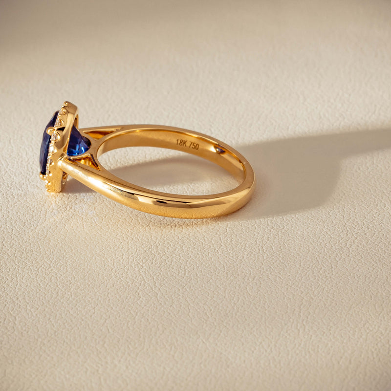 18ct Yellow Gold 2.46ct Sapphire & Diamond Nina Ring - Ring - Walker & Hall