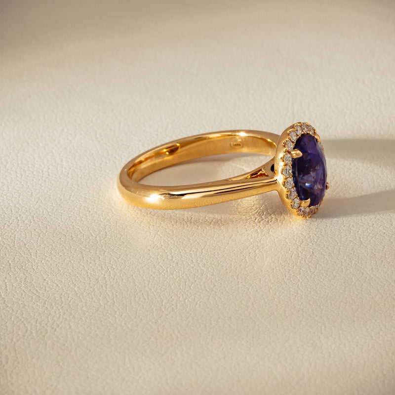 18ct Yellow Gold 2.46ct Sapphire & Diamond Nina Ring - Ring - Walker & Hall