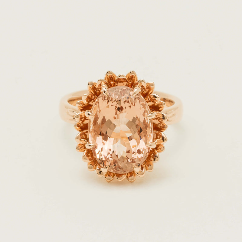 18ct Rose Gold 7.49ct Morganite Protea Ring - Ring - Walker & Hall