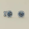18ct White Gold 2.07ct Sapphire & Diamond Nina Earrings - Earrings - Walker & Hall