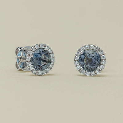 18ct White Gold 2.07ct Sapphire & Diamond Nina Earrings - Earrings - Walker & Hall