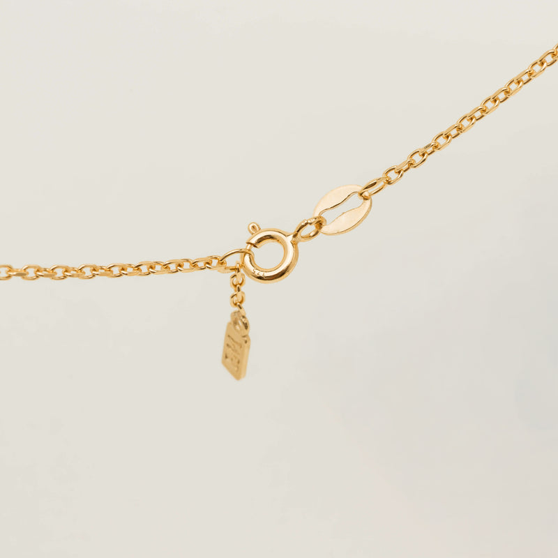 9ct Yellow Gold Noted Kiwi with Diamonds (Pendant + Chain) - Necklace - Walker & Hall