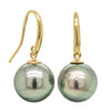9ct Yellow Gold Tahitian Black Pearl Earrings-Earrings-Walker & Hall