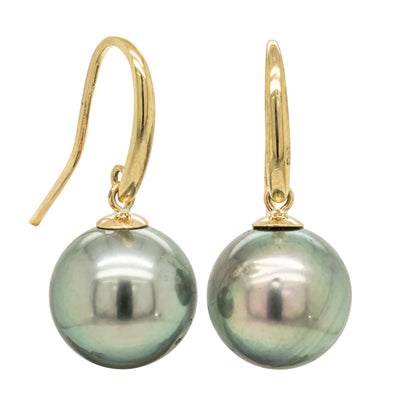 9ct Yellow Gold Tahitian Black Pearl Earrings-Earrings-Walker & Hall