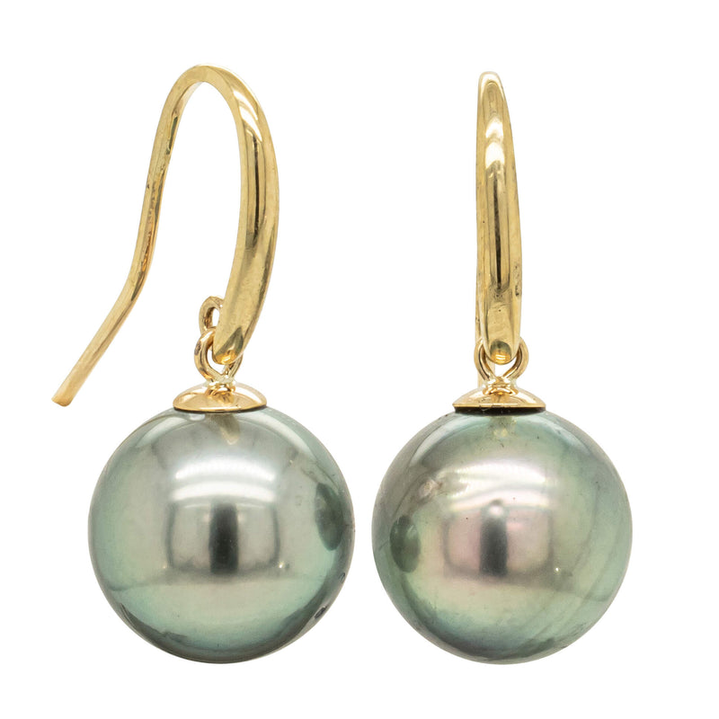 9ct Yellow Gold Tahitian Black Pearl Earrings-Earrings-Walker & Hall