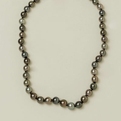 9ct Yellow Gold 8-10.4mm Black Pearl Strand 44cm - Necklace - Walker & Hall
