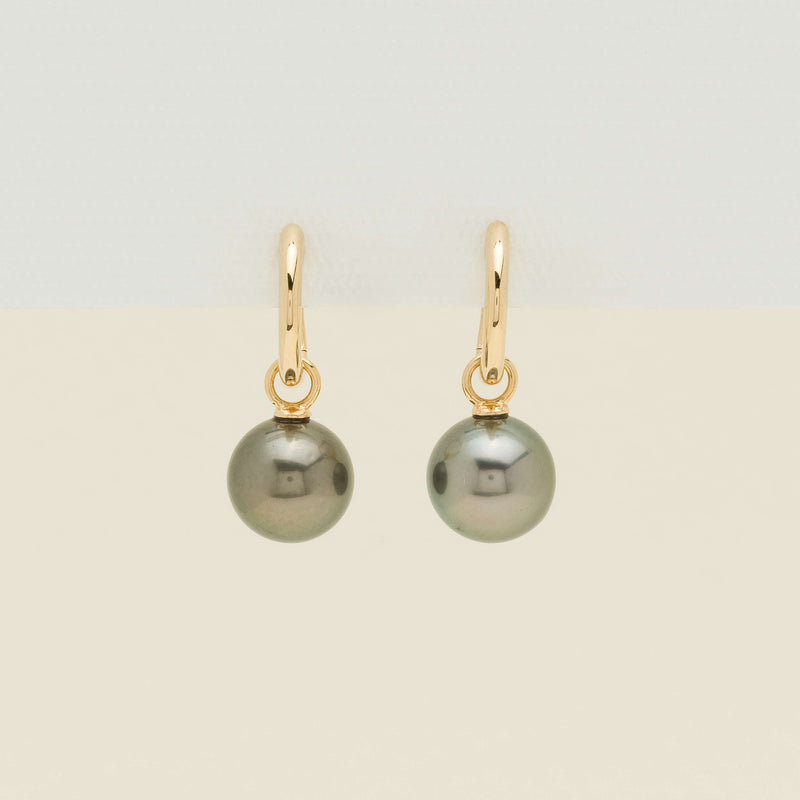 18ct Yellow Gold Tahitian Black Pearl Cosy Earrings - Earrings - Walker & Hall