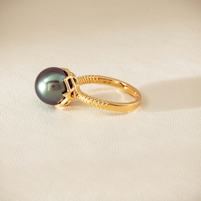 18ct Yellow Gold 10.9mm Black Pearl Selene Ring - Ring - Walker & Hall