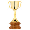 Gilded Gold Tone Trophy-Silverware-Walker & Hall