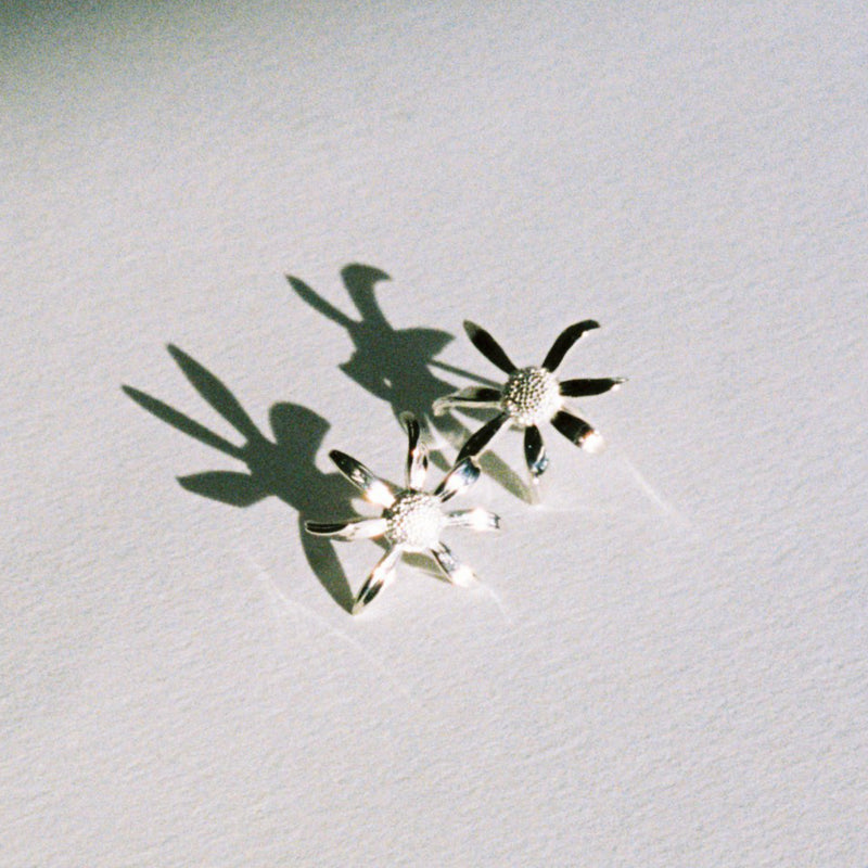 Meadowlark Medium Daisy Stud Earrings - Sterling Silver-Earrings-Walker & Hall