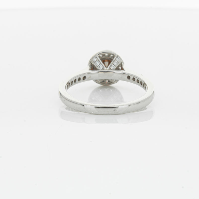 18ct White Gold .22ct Champagne Diamond Ring-Ring-Walker & Hall