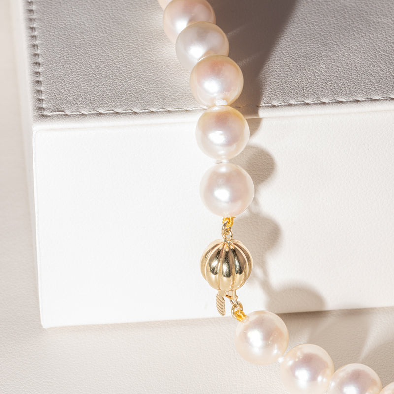 9ct Yellow Gold Akoya Pearl Strand-Necklace-Walker & Hall