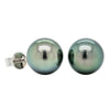 9ct White Gold Tahitian Black Pearl Studs-Earrings-Walker & Hall